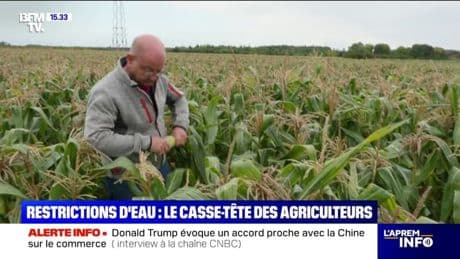 Sécheresse: le casse-tête des agriculteurs qui doivent s'adapter aux restrictions d'eau