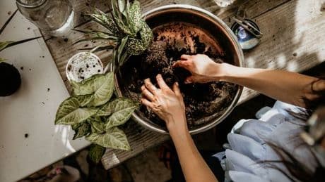 Amazon shoppers say £6 cream is ‘perfect for gardener's hands’ with 85k reviews