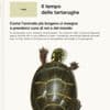 Sopravvivere da 250 milioni di anni e rischiare l’estinzione per il cambiamento climatico: storia delle tartarughe