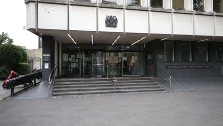 Teenager, 17, detained for ‘sadistic’ torture and killing of two kittens