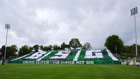 Kuriose Neuverpflichtung - Chemie Leipzig stellt neuen „Grasfresser“ vor