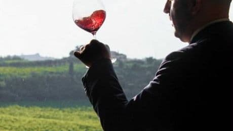 Laqua Vineyard, tra la Toscana e il Piemonte