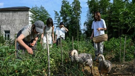 Ni mec, ni stress : les communautés 100% féminines fleurissent en Chine