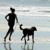 Les animaux de compagnie peuvent-ils, comme nous, attraper des coups de soleil ?