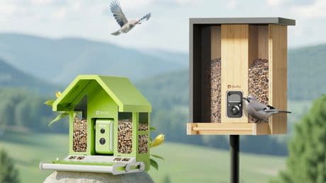 Der Star als Star: Vogelhäuschen mit eingebauter Kamera