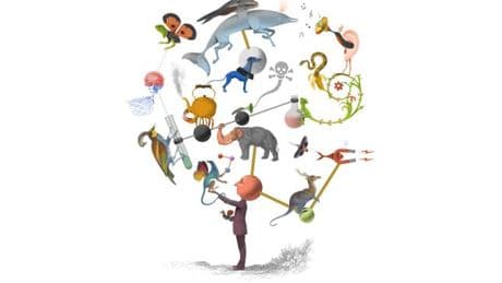 Felix Effenberger, neuroscientifique : “Jamais on ne pourra parler foot avec une baleine”