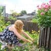 ‘Wie kale plekken in zijn gazon heeft, kan straks zijn kans grijpen’: zo maakt u uw tuin klaar voor de herfst