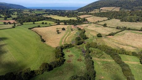 National Trust to cut 550 staff in bid to slash wage bill following tax hikes