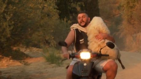 Farm animals and pets rushed to safety as Greek wildfire plagues port city