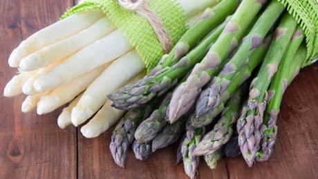 Fehler beim Aufbewahren: Darauf müssen Sie beim Spargel-Einfrieren achten