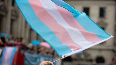 Recommandations repoussées sur les transitions de genre pour les mineurs : une victoire du « lobby anti-trans », dénoncent les associations