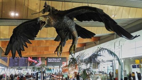 Huge Gandalf statue to be removed from airport after 12 years of delighting tourists