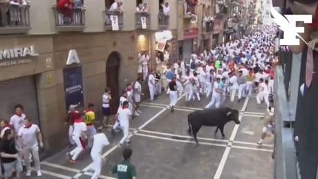 Espagne : une course de taureaux dans les rues de Pampelune fait plusieurs blessés, dont un homme encorné