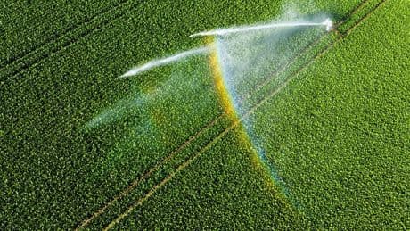 Bauern reagieren auf Trockenheit: Mehr Bewässerung und Soja