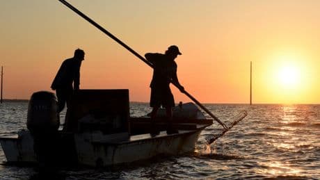 Florida wildlife officials consider reopening bay nationally known for its oysters