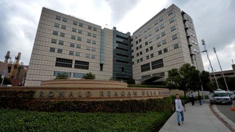 Une greffe de vessie réalisée avec succès aux États-Unis, une première mondiale