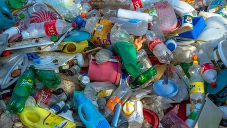 Plastique partout, santé nulle part, alertent le CNRS et l’Inrae