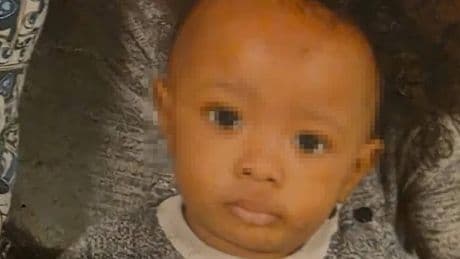 "Nutrito solo di frutta, noci e semi": così il bimbo di tre anni è morto per la dieta vegana estrema