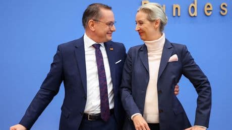24.000 Euro im Monat - AfD-Chefs verdoppeln ihr Gehalt