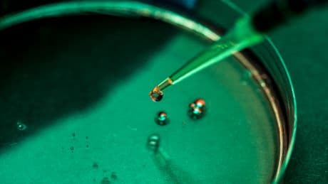 The U.S. Can’t Afford to Lose the Biotech Race with China