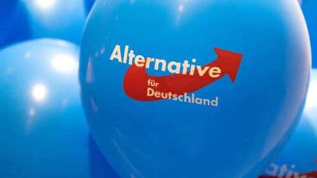 Die AfD in Brandenburg gilt wieder als gesichert rechtsextremistisch