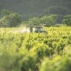 Du TFA, un polluant éternel, détecté dans des bouteilles de vin en Europe à des niveaux record