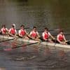 Aviron. Régates de Château-Gontier : le Club Léo-Lagrange Nantes brille en Mayenne