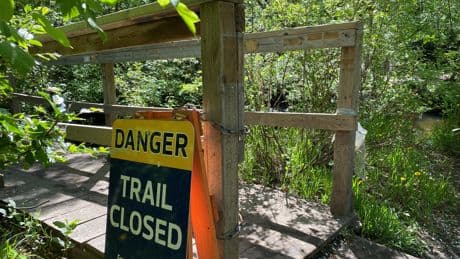 Edmonton dog owners seeks solution for beloved Jackie Parker Park bridge
