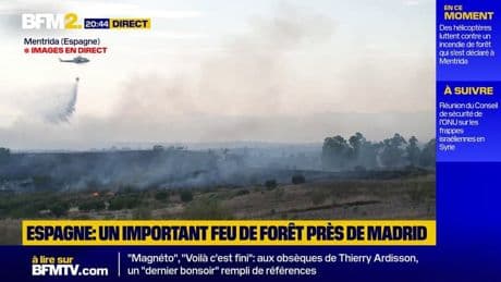 Espagne: un incendie s'est déclaré à Mentrida, à une cinquantaine de kilomètres de Madrid