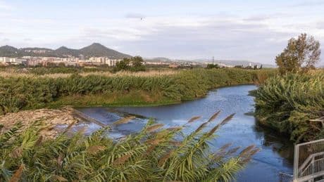 Salut Pública detecta polio en aguas residuales de dos depuradoras del Baix Llobregat