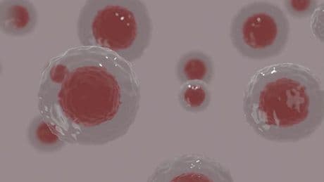 Descubierta una nueva forma en que las células se protegen del daño