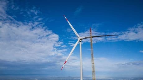 WWF sieht Südwesten bei Energiewende nun im Mittelfeld