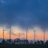Windenergie in Berlin: Nabu fordert mehr Windkraft-Standorte außerhalb von Wäldern