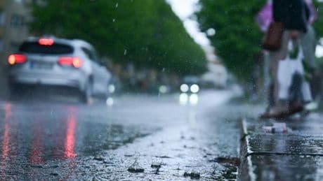Wettervorhersage: Gewitter in Teilen Deutschlands erwartet