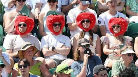Wimbledon fans fume over 'pure greed' as they count cost of pint of Stella and sushi
