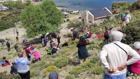 Datça’da ‘koruma’ adıyla yapılaşma: Kargı Tepesi imara açıldı