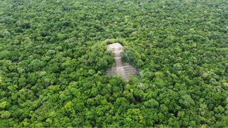 L'IA aide les archéologues à découvrir des sites enfouis dans la jungle avant qu'ils ne disparaissent