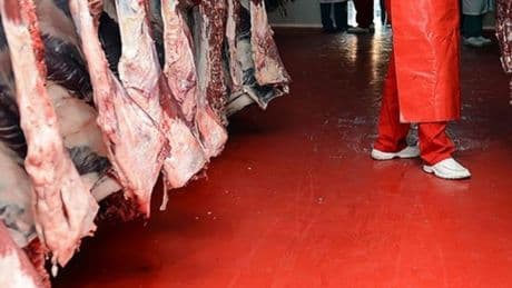 Kırmızı et üretimi yüzde 11,7 azaldı