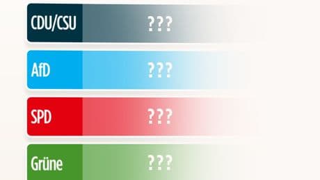 Sonntagsfrage - Diese Partei gewinnt die Wählerherzen