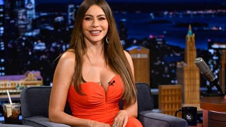 Sofia Vergara said dating someone with less money than her would be a 'nightmare.' We asked 3 therapists what they think.