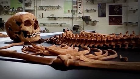 400 Jahre alt - Das ist die Braut von Dracula