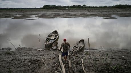 Well-preserved Amazon rainforest on Indigenous lands can protect people from diseases, study finds
