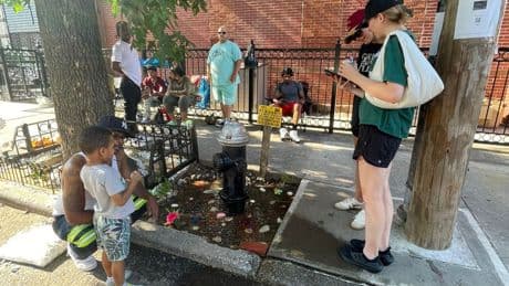 Infamous New York City sidewalk aquarium is back but heat wave sparks concerns fish will boil