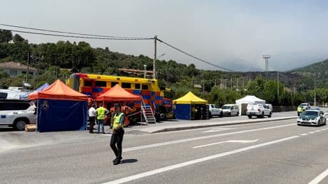 Portekiz'de aşırı sıcaklar nedeniyle son bir haftada 264 kişi öldü