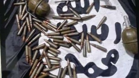 Toronto ISIS financier pleads guilty