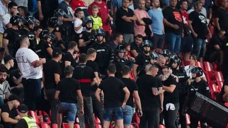 Riot police charge into crowd during Serbia vs England as child lifted out
