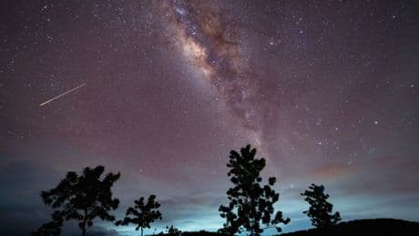 You Won’t Want to Miss the Eta Aquariid Meteor Shower. Here’s How and When You Can See It