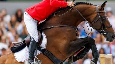 Reitsport: EM-Sieger Vogel singt Hymne für seinen Opa