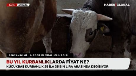 Bu yıl kurbanlıklarda fiyat ne?