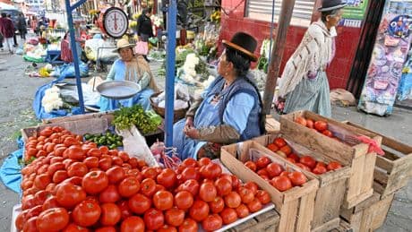 Präsidentschaftswahlen in Bolivien | »Bolivien steckt in drei Krisen«